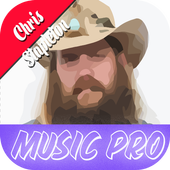 Chris Stapleton 图标