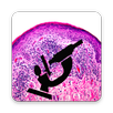 Histology Guide APK