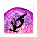 Histology Guide APK