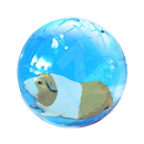 Guinea Pig in ball APK