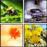Simple Puzzle biểu tượng