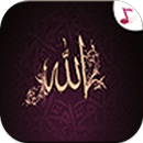 اسماء الله الحسنى- بدون نت MP3-APK