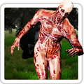 Zombie Flag