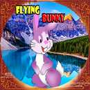 Flying Bunny : game kid game APK