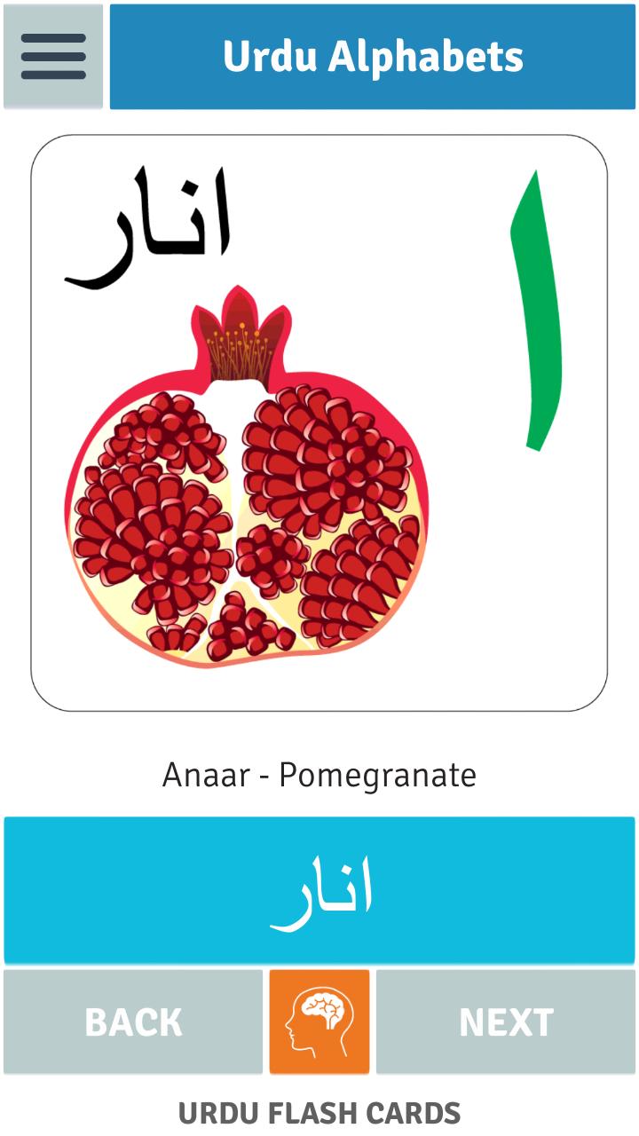 urdu flash cards for android apk download