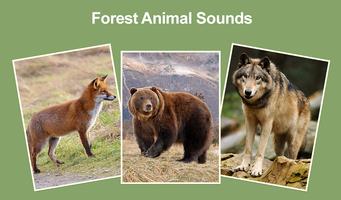 Forest Animal Sounds And Guess capture d'écran 3