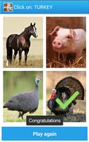 Farm Animal Sounds And Guess ภาพหน้าจอ 3