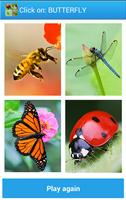 Insects Sounds And Guess ภาพหน้าจอ 3