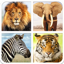 Jungle Animal Sounds & Guess APK