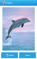 Marine Animal Sounds And Guess captura de pantalla 1