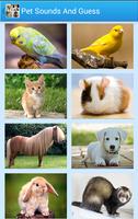 Pet Sounds & Guess The Animal постер