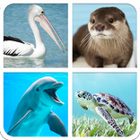 Water Animals Sounds And Guess