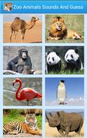 Zoo Animal Sounds And Guess Affiche