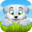 Run and Quiz SBR APK
