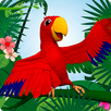 Koukou Tropico APK