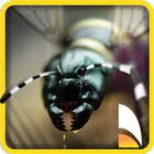 Ant & Bug Smasher biểu tượng