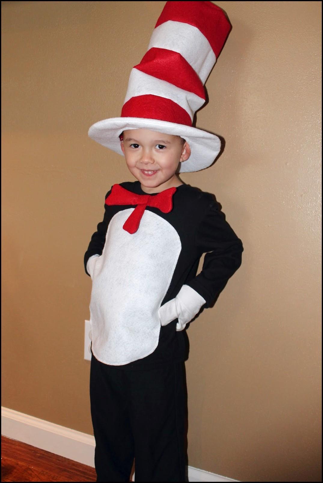 Diy Cat In The Hat Costume For Android Apk
