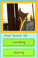 Cats and Words تصوير الشاشة 1