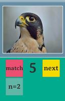 Pics-n-match ภาพหน้าจอ 1