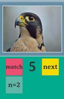 Pics-n-match تصوير الشاشة 1