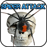 Icona Schermo Spider attacco