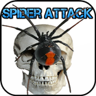 آیکون‌ Spider Attack screen