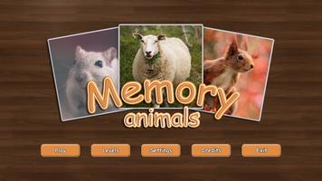 Memory - Animals Affiche