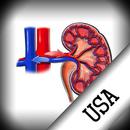 Nephrology in short questions APK