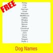 Dog Names