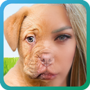 dog face changer APK