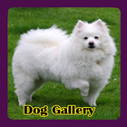 Dog Gallery icône