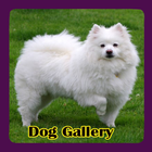 Dog Gallery آئیکن