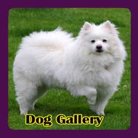 Dog Gallery اسکرین شاٹ 1