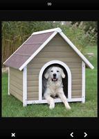 Dog House ภาพหน้าจอ 2