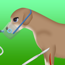 dog surgery game 2 APK