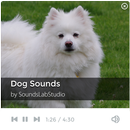 Dog Sounds APK