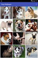 Dog Wallpaper ảnh chụp màn hình 1