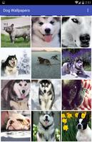 برنامه‌نما Dog Wallpapers عکس از صفحه