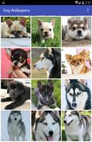 برنامه‌نما Dog Wallpapers عکس از صفحه