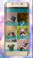 Dog Wallpapers ảnh chụp màn hình 1