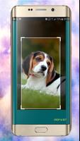 Dog Wallpapers ภาพหน้าจอ 3