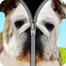 dog fake zipper lock APK