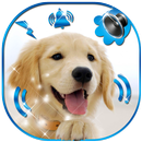 Hunde Bellen Klingelton 🐶 Schöne Klingeltöne APK