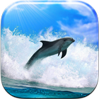 Dolphin Live Wallpaper icône