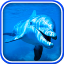 Dolfin Latar Belakang APK