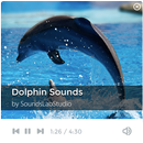 Dolphin Sounds APK