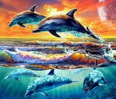 برنامه‌نما Dolphin Live Wallpaper HD عکس از صفحه