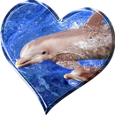 Dolfijn Live Achtergrond-APK