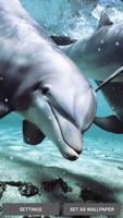 Dolphins Live Wallpaper capture d'écran 3
