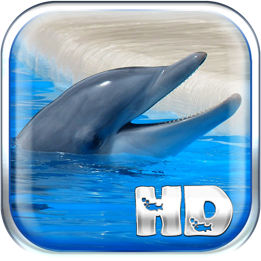 Dolphins Live Wallpaper HD